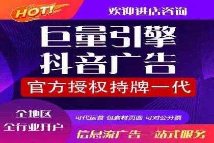 SEM运营中的数据分析和优化案例研究